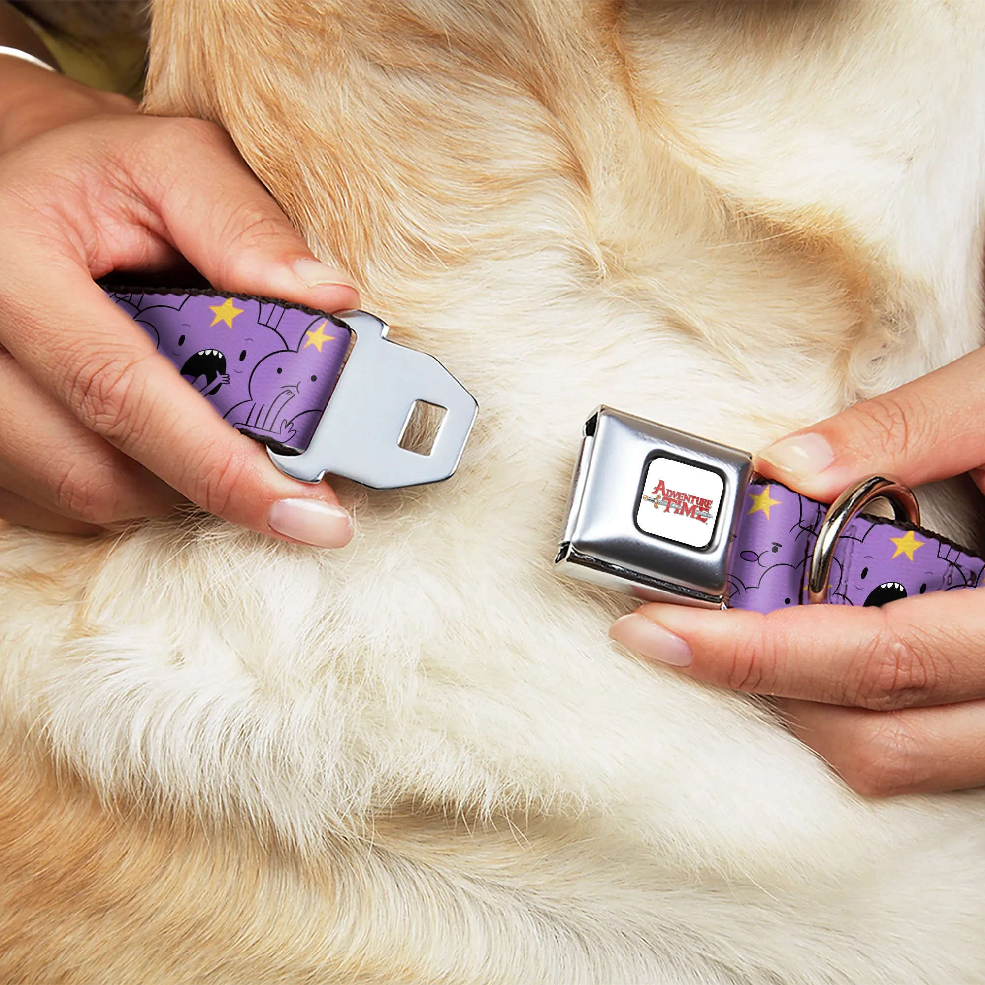 ADVENTURE TIME Title Logo Full Color White Seatbelt Buckle Collar - Adventure Time Lumpy Space Princess Expressions Stacked Lavender