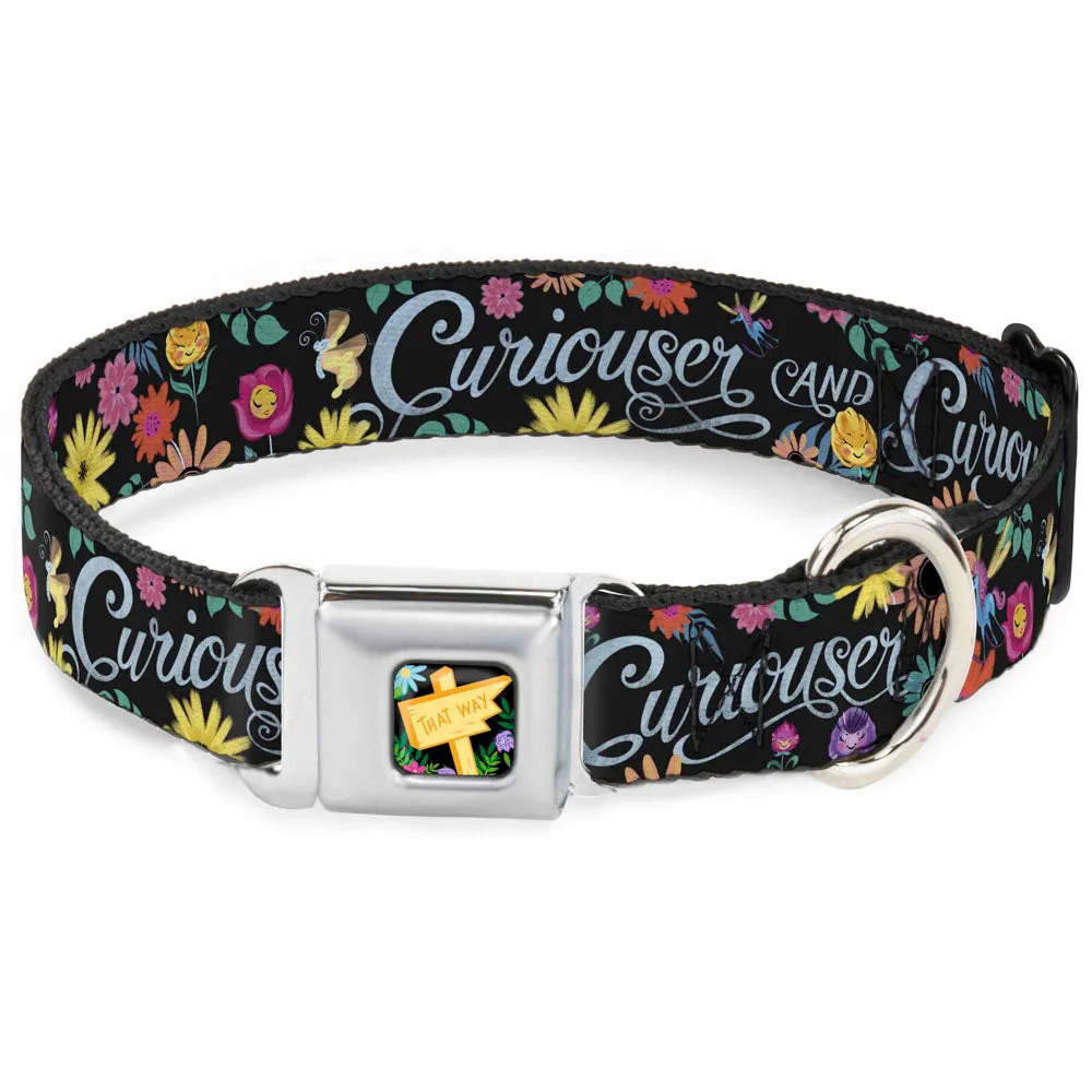 Alice in Wonderland THIS WAY Sign/Flowers Full Color Seatbelt Buckle Collar - CURIOUSER AND CURIOUSER/Flowers of Wonderland Collage