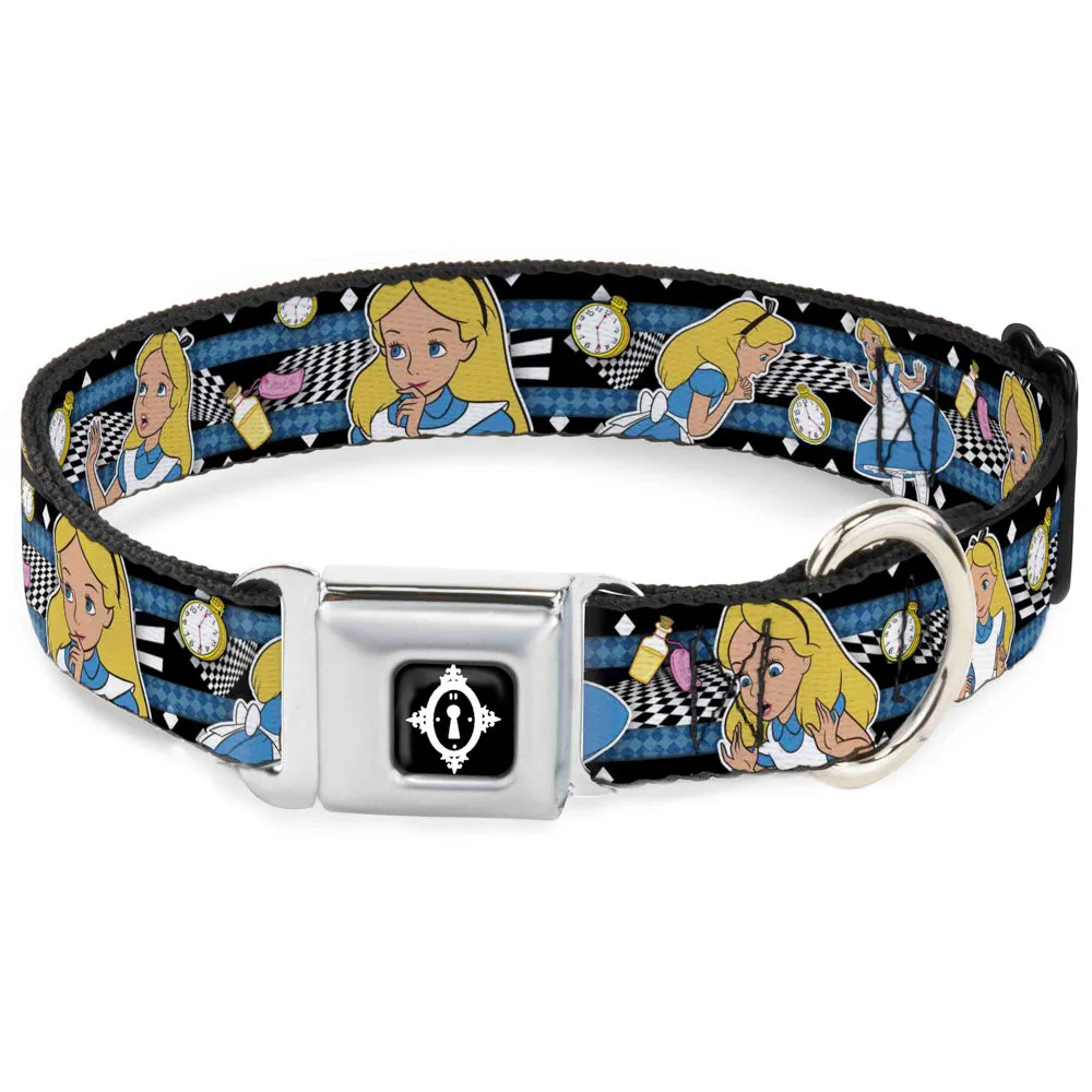 Alice Keyhole Full Color Black/White Seatbelt Buckle Collar - Alice in Wonderland Poses/Clock/Bottle Diamond/Stripe Black/White/Blues