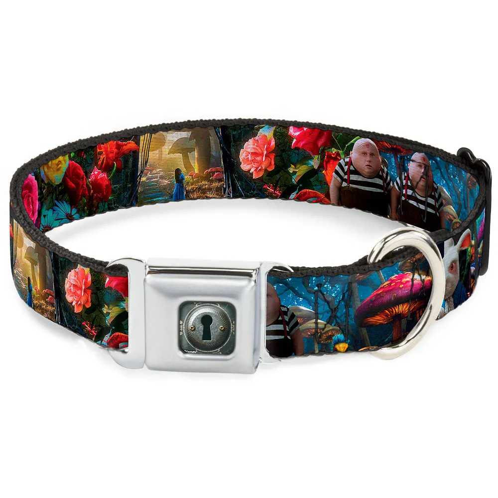 Alice Keyhole Full Color Grays Seatbelt Buckle Collar - Alice in Wonderland Movie Encounters