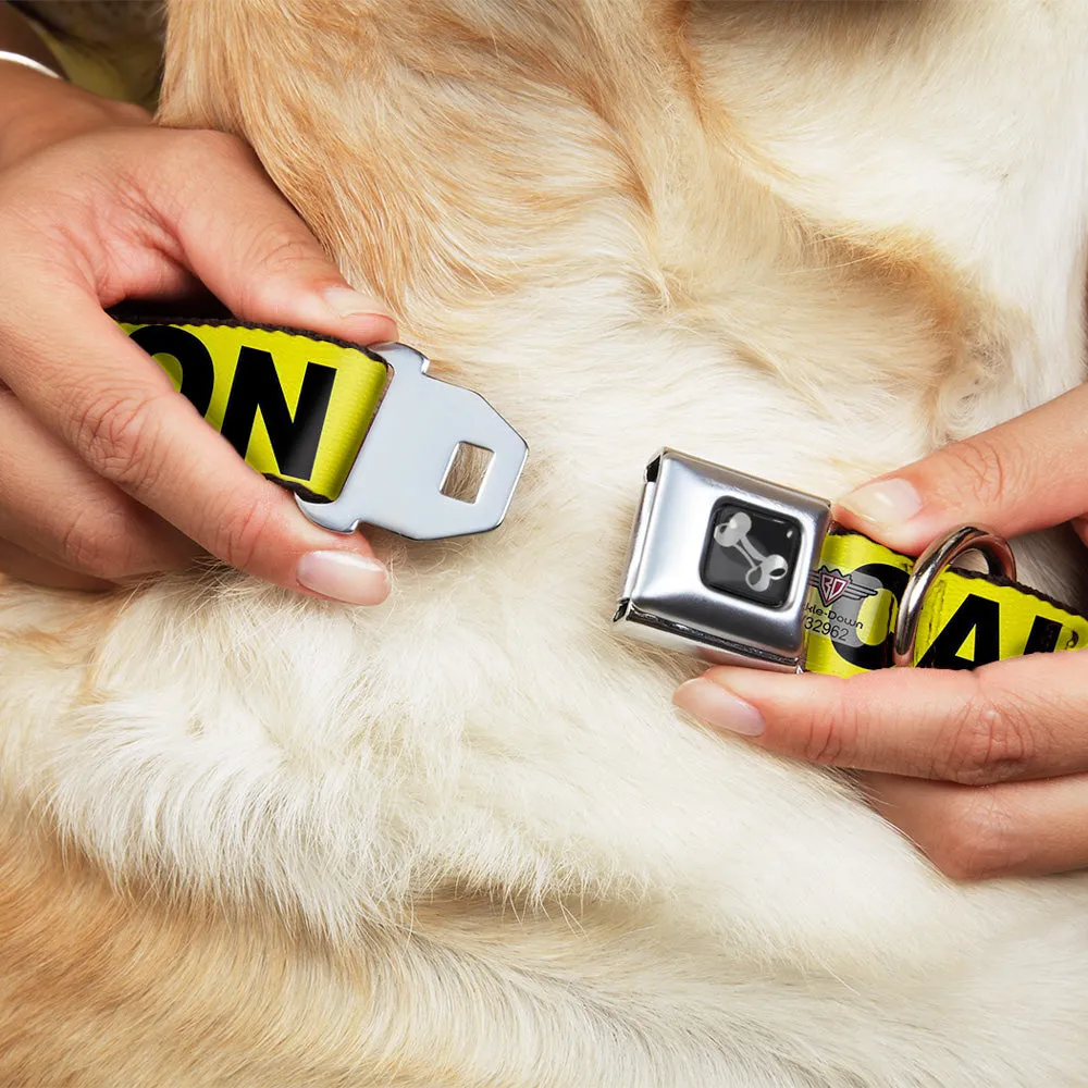 Dog Bone Seatbelt Buckle Collar - CAUTION Yellow/Black by Buckle-Down