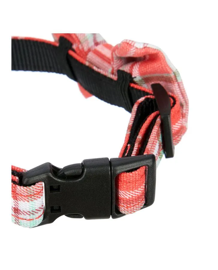 Dogs on Parade Large Dog Collar